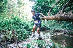 BIB: 
                            <button type="button" onclick="openModal(25431956)" class="btn btn-primary btn-sm float-right btn-popup" data-toggle="modal" data-target=".modal-high-quality">
                        <i class="fas fa-shopping-cart"></i> Add to Cart
                    </button>
                                            <button type="button" onclick="isThisMe(25431956, true)" class="btn btn-success btn-sm float-right btn-popup btn-isme hidden" data-toggle="tooltip" data-placement="bottom" title="นี่คือรูปของคุณใช่ไหม คลิกที่นี่เพื่อเอาเข้าอัลบั้ม">
                        <i class="fas fa-plus"></i> Add to album
                    </button>
                    <button type="button" onclick="isThisMe(25431956, false)" class="btn btn-warning btn-sm float-right btn-popup btn-isnotme hidden">
                        <i class="fas fa-ban"></i> Remove from album
                    </button>